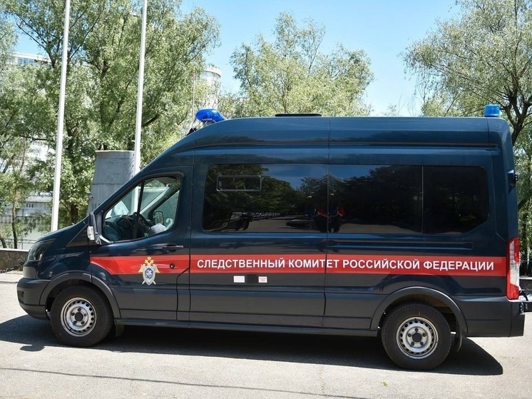 Председатель СК России поставил на контроль проверку преступления против половой неприкосновенности в Краснодарском крае