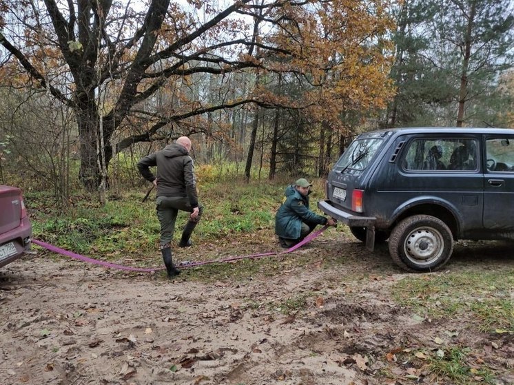 Лесничие Подмосковья вытащили автомобиль, застрявший на лесной дороге