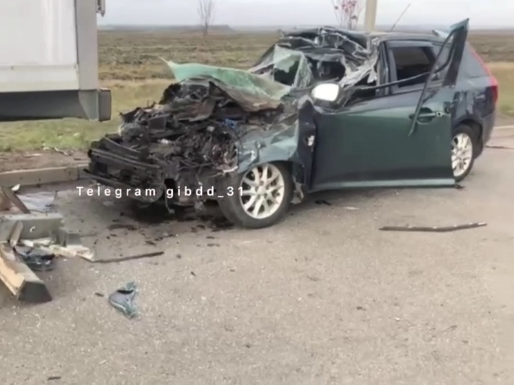В Белгородской области водитель легковушки залетел под припаркованную фуру и погиб