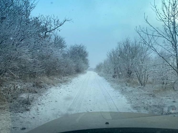 Синоптики спрогнозировали, когда в Ростове пойдет первый снег