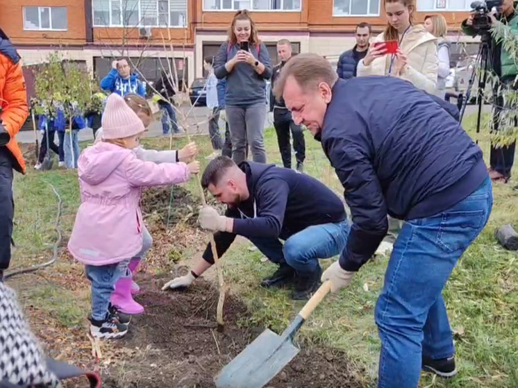 Саженцы деревьев высадили в урочище «Мутнянка» в Ставрополе
