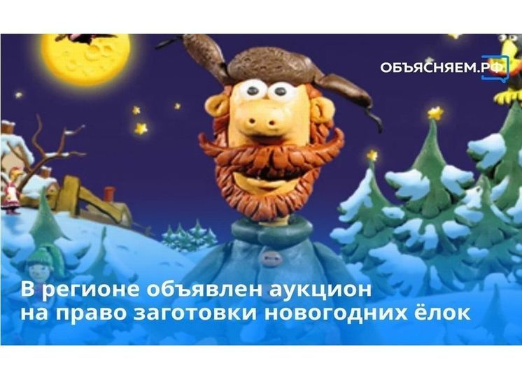 Аукцион на право заготовки новогодних ёлок объявлен на Смоленщине