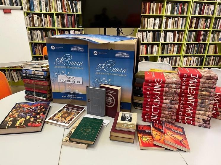 Жители Соснового Бора собрали более 500 книг для детей из Энергодара