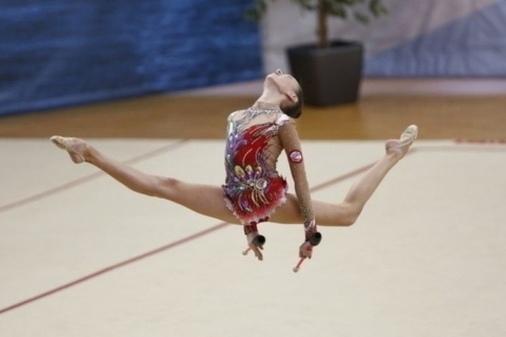 Тренеры по художественной гимнастике приняли участие в семинаре в Новгороде