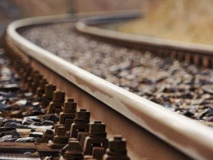 В Тамбовской области из-за странного пакета остановили поезд Москва-Симферополь