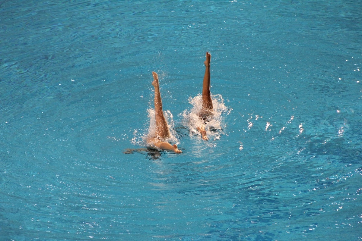 Show of Olympic champions-synchronized swimmers will be held in Kaliningrad