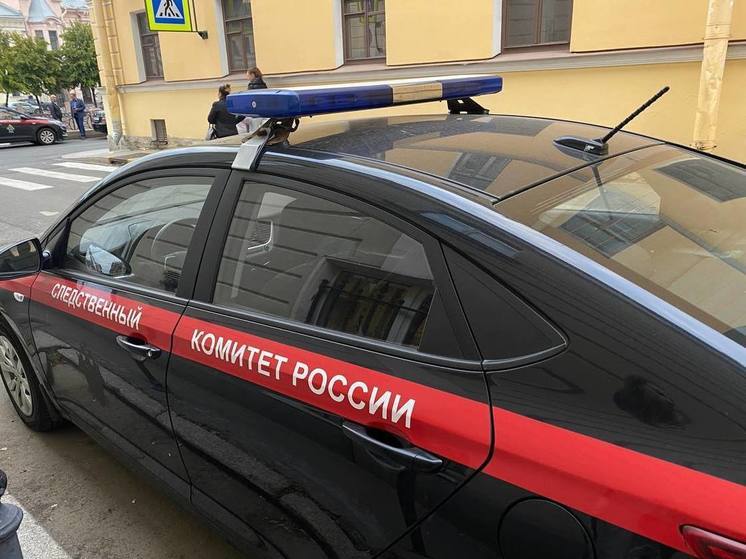 Бастрыкин поручил проверить тосненскую школу, у которой обрушилось крыльцо