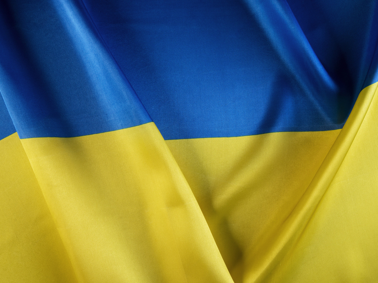 Колумнист Telegraph Кафлин: Запад готов к капитуляции и разделу Украины
