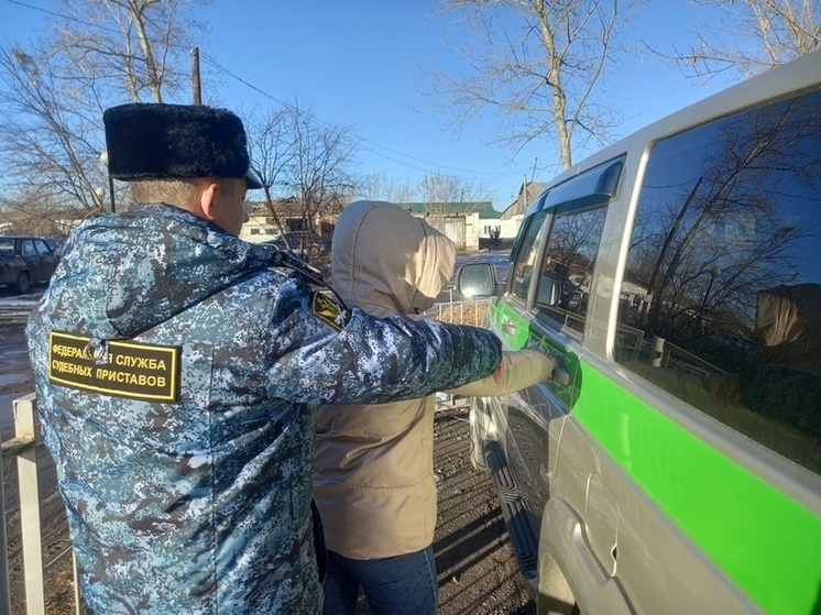 Под Новосибирском должницу по алиментам отправили на заготовку дров на 30 часов