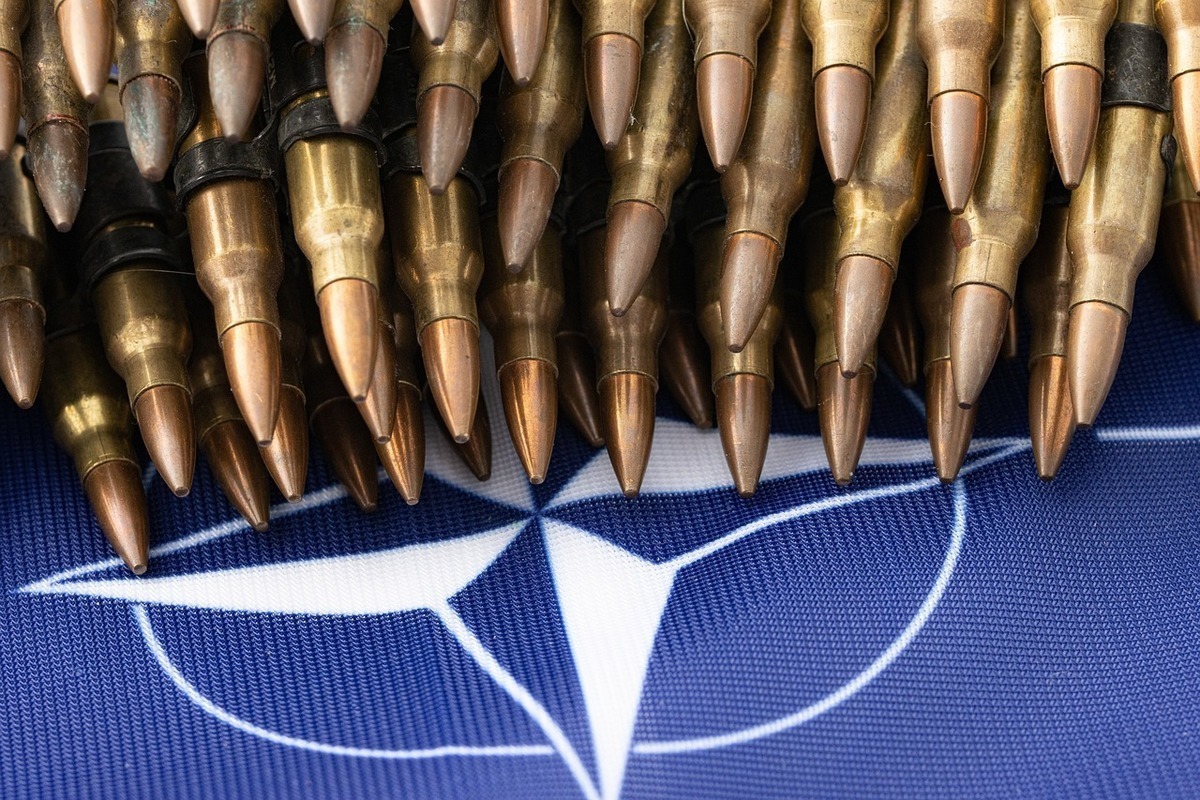 FAZ: Rasmussen's plan will allow Putin to test NATO's strength