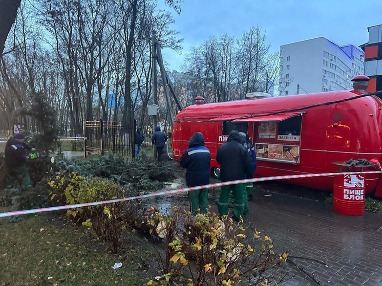 В Пензенском детском парке дерево упало на фудтрак