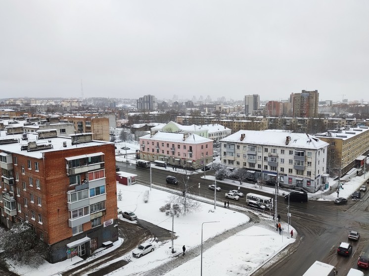 Мэрия Петрозаводска: на уборку города от снега выведено 46 единиц техники