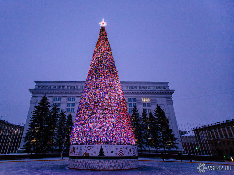 В центре Кемерова начали установку новогодней ели