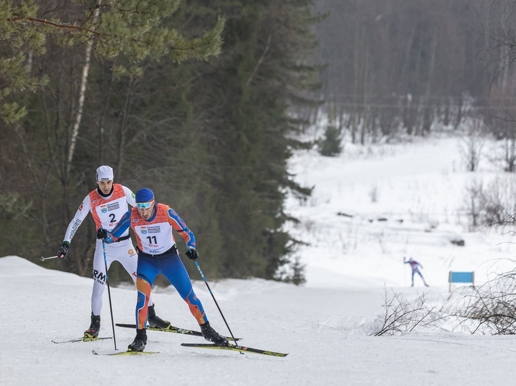 Началась подготовка трассы для лыжного марафона Галичское Заозерье"