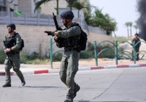 Пресс-секретарь израильской армии Авихай Эдри в публикации в социальной сети X (ранее Twitter) заявил, что Армия обороны Израиля (ЦАХАЛ) на четыре часа приостановила ведение боевых действий в городе Рафах на юге сектора Газа рядом с границей с Египтом в гуманитарных целях
