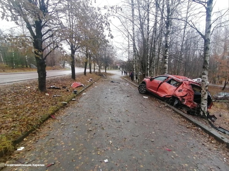 Пенсионеру стало плохо за рулем машины в Карелии, иномарка влетела в столб