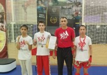 XXIII детско-юношеский турнир «Золотая перчатка» прошел в Балашихе