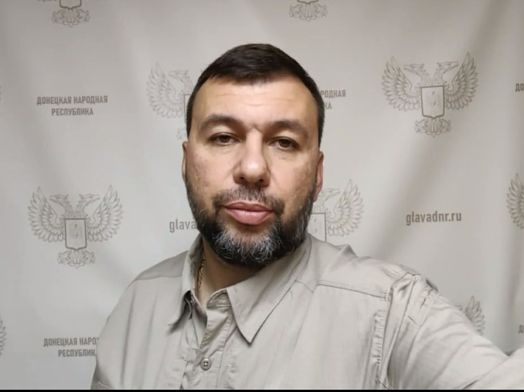 Пушилин: Киев разжигает межнациональную и межконфессиональную рознь "вбросом фейков"