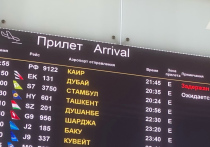 Около аэропорта Домодедово дежурят скорые

