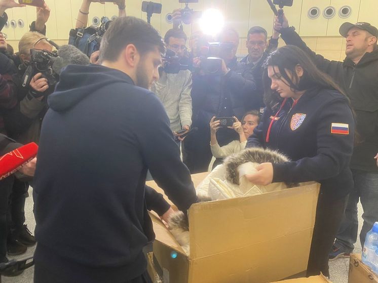 Для эвакуированных из сектора Газа россиян привезли тёплые вещи и шоколадки