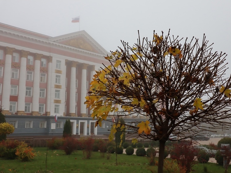 Бдительная курянка доставила в полицию сфотографировавшего Дом Советов туриста