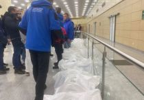В аэропорту «Домодедово» собрались люди, которые встречают своих родных и знакомых, эвакуированных из сектора Газа