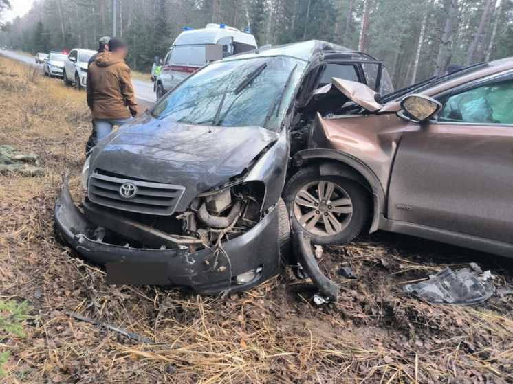 Во Владимирской области произошло 300 ДТП за неделю