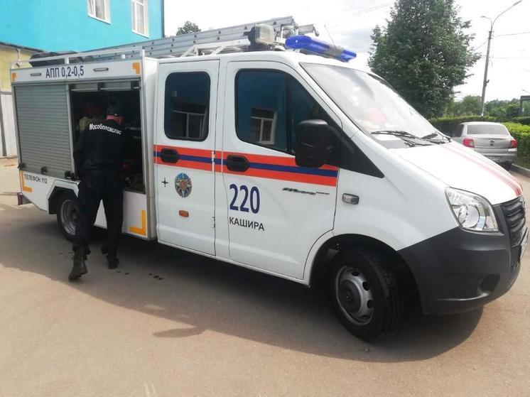 В Кашире спасатели помогли кошке спуститься с высокого дерева