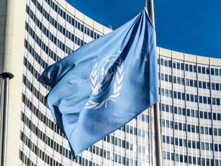 ООН: Украина нарушила в Изюме Оттавскую конвенцию о запрете противопехотных мин
