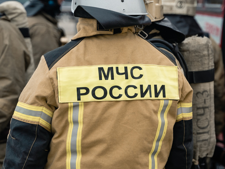 МЧС: Сообщений о происшествиях в рязанском Дягилеве не поступало