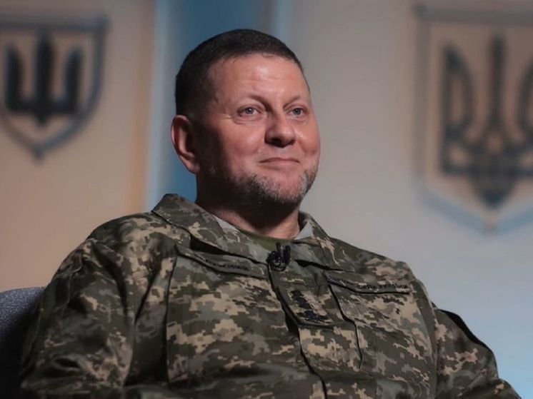 Генерал ВСУ предложил отправить Залужного в отставку