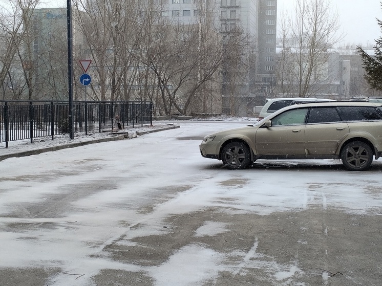 Установление снежного покрова в Новосибирске прогнозируют на декабрь