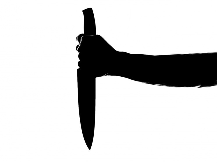 Житель Кондопоги вонзил нож в живот обидчика и отделался условкой