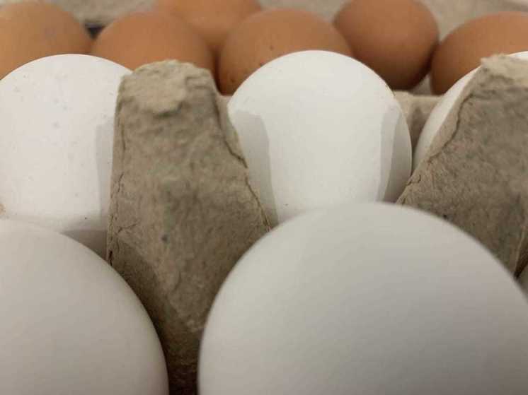 Тамбовские  антимонопольщики выясняют, почему подорожали  куриные яйца