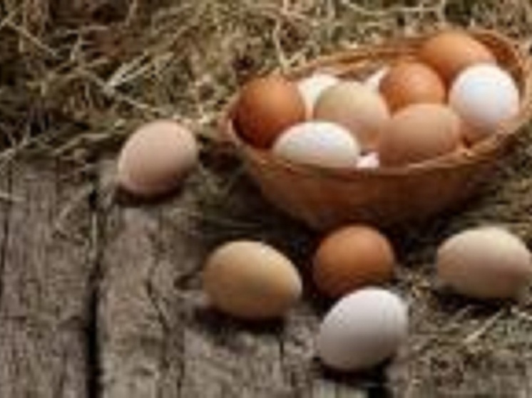 В Калмыкии антимонопольщики проверят цены на куриные яйца