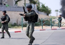Армия обороны Израиля (ЦАХАЛ) сообщила о взятии под свой контроль в секторе Газа парламента, штаб квартиры местной полиции, а также здания инженерного факультета, где представители палестинской радикальной группировки ХАМАС занимались разработкой вооружений