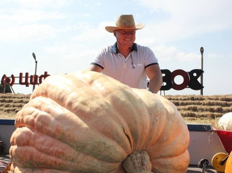 Аграрии Ставрополья вырастили тыкву весом 591 кг