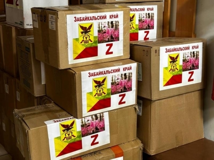 Собранные забайкальцами книги доставили в Старобешевский район ДНР