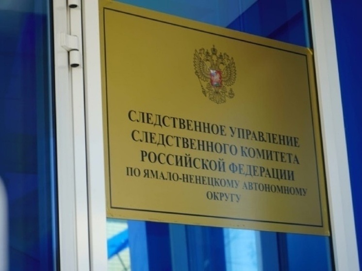 Следком: «похитившие» девочку в Салехарде мошенники могут находиться на Украине