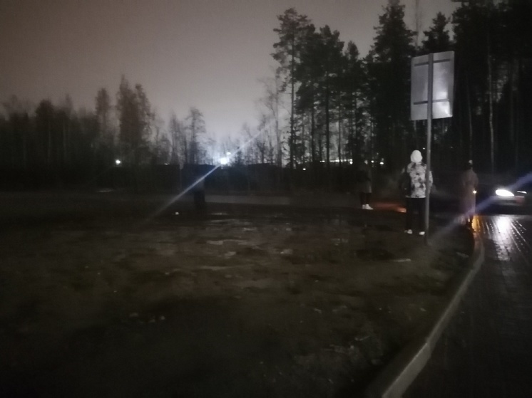 Жители района Петрозаводска надеются получить нормальную остановку с помощью ТВ