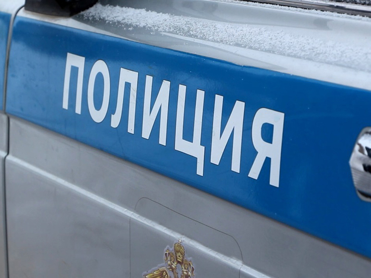 В Притамбовье дальнобойщик и местный мойщик устроили конфликт со стрельбой