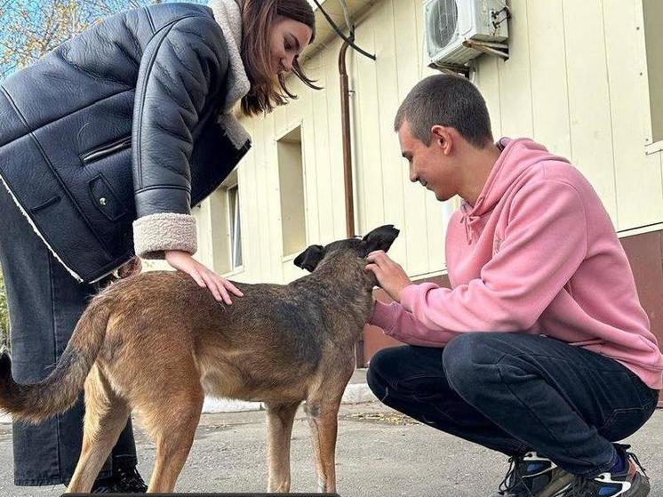 Волонтеры из ДНР отметили День доброты помощью приюту животных