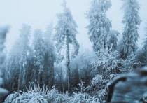 В ближайшие несколько дней на Чукотке и в Камчатском крае ожидаются морозы до 32-34 градусов