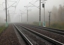 Телеграм-канал SHOT сообщает, что в городе Дзержинске Нижегородской области неизвестный совершил поджог рядом с вокзалом, из-за чего были задержаны три поезда