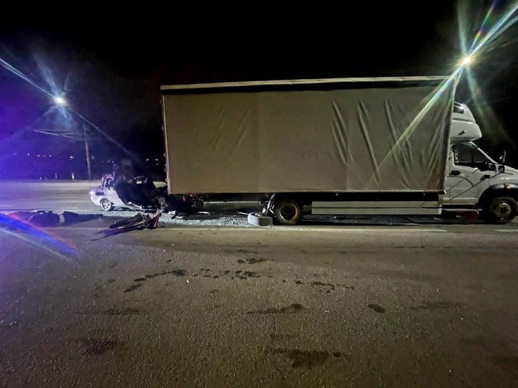 В Воронеже под грузовиком погибло 2 человека