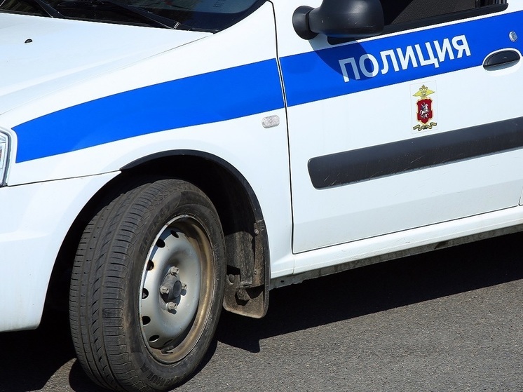 A 14-year-old girl died in a village near Moscow