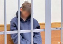 Шестнадцатилетнего подростка, обвиняемого в двойном убийстве, отправили в следственный изолятор Екатеринбурга