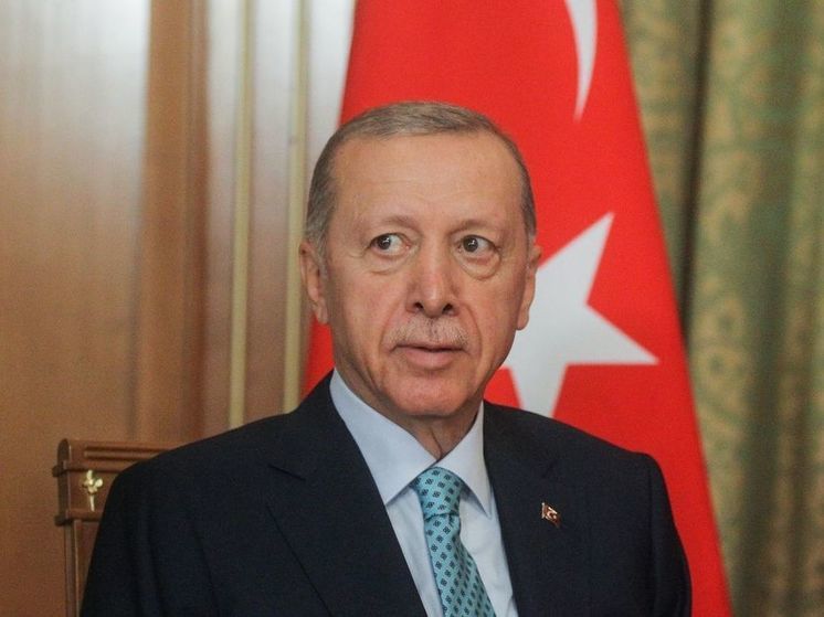 Эрдоган назвал Израиль террористическим государством за действия в Газе