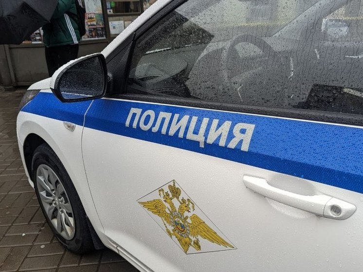 Соседские войны, или Охота на пенсионерку