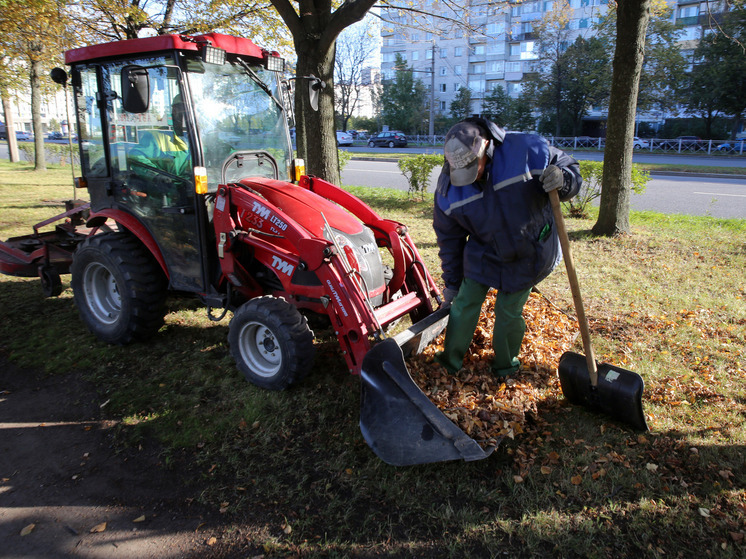 Жителям Великого Новгорода показали карту уборки города